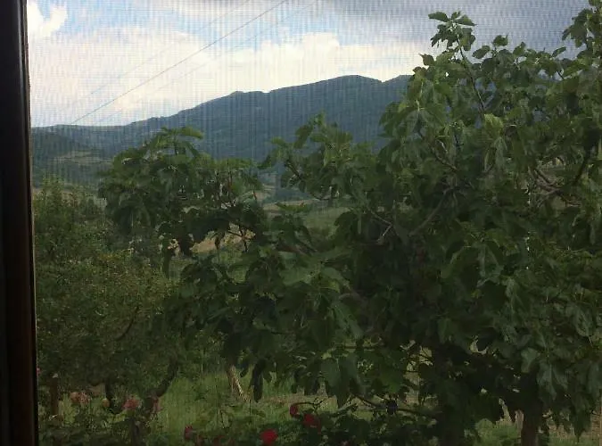 La casa nel verde
